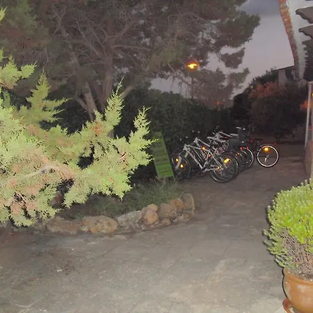 Bluesea Los Lentiscos Hotel